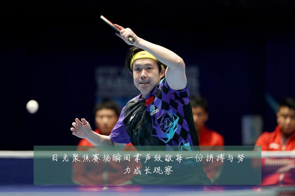 目光聚焦赛场瞬间掌声致敬每一份拼搏与努力成长观察